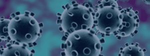 Slider image of the COVID-19 virus under a microscope